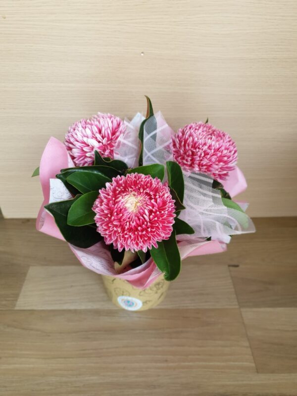 Mothers Day Delight